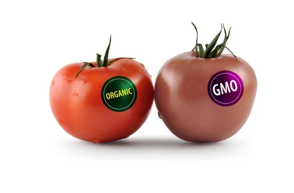 GMO1