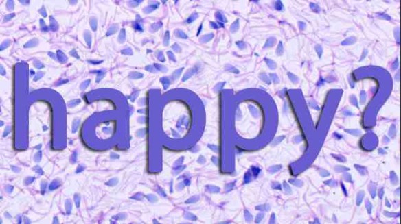 SpermHappy
